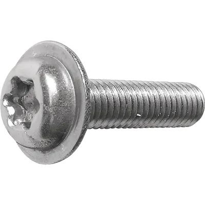 Șurub cap torx 4.8*35 mm 250 buc